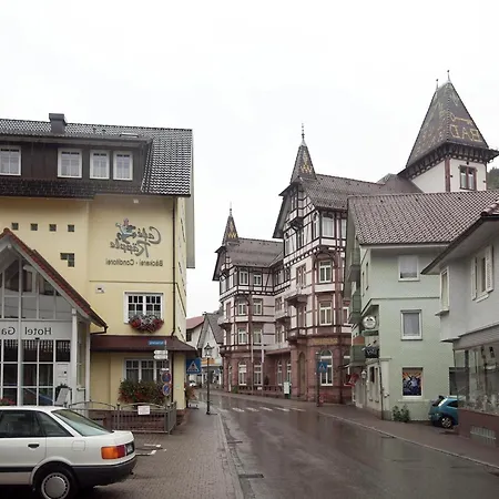 Ferienwohnung, Bad Peterstal, Cleaning Included *
