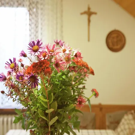 Ferienwohnung, Bad Peterstal, Cleaning Included * Bad Peterstal-Griesbach