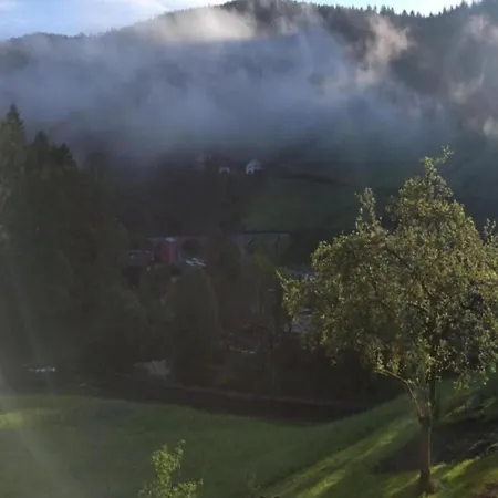 Ferienwohnung, Bad Peterstal, Cleaning Included * Bad Peterstal-Griesbach
