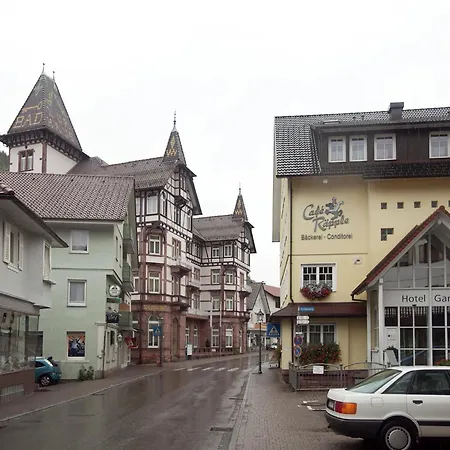 Διαμέρισμα Ferienwohnung, Bad Peterstal, Cleaning Included