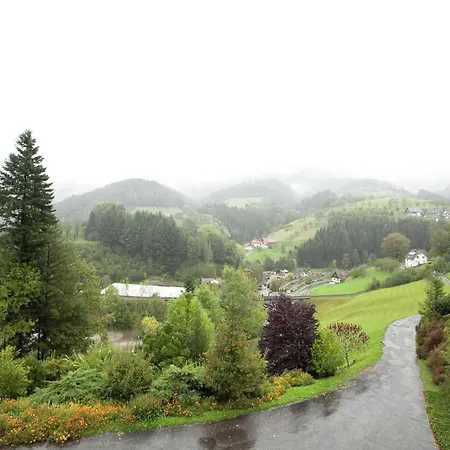 Διαμέρισμα Ferienwohnung, Bad Peterstal, Cleaning Included Bad Peterstal-Griesbach
